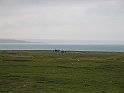 Obraz 273